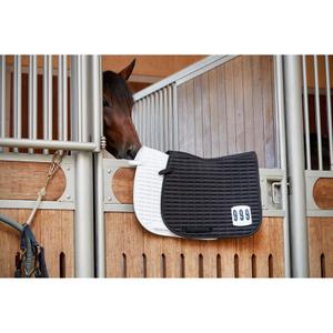 product/h/o/horseguard_504831508_hvid_2.jpg