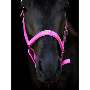 product/h/o/horseguard_50499020102_phlox-pink_3.jpg