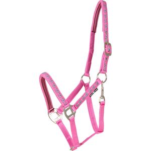 product/h/o/horseguard_50613010102_phlox-pink_1.jpg