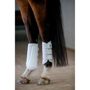 product/h/o/horseguard_506142008_white_3.jpg
