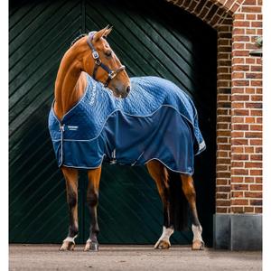 product/h/o/horseware_achgm2-b000-66_navy_2.jpg