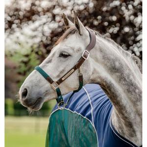 dhhmm0-nbh0-co-licol-cuir-pour-cheval-horseware-signature-brown-navy-hunter-green