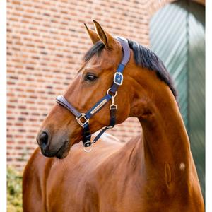 dhhmm1-nbb0-co-licol-cuir-pour-cheval-horseware-signature-brown-navy