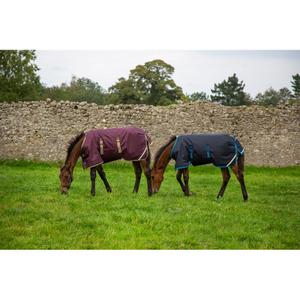 product/h/o/horseware_hwaarhj4bona.jpg