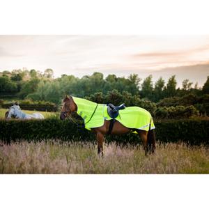 product/h/o/horseware_hwafre10fluo_1.jpg