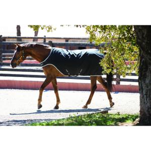 product/h/o/horseware_hwagrw41bk_2.jpg