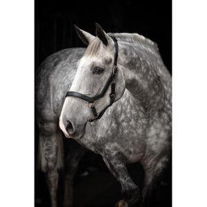 product/h/o/horseware_hwdhal8dbk.jpg