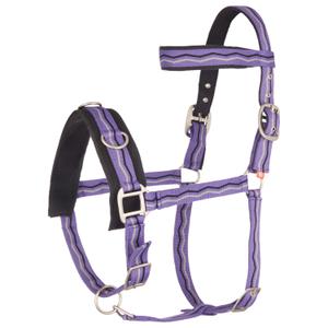 1606000003-4012-cavecon-nylon-pour-cheval-imperial-riding-royal-purple