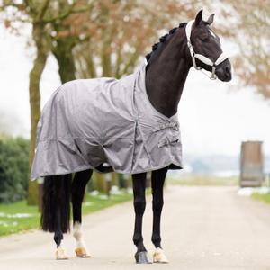 product/i/m/imperial-riding_de50314002-7060_tornado_3.jpg