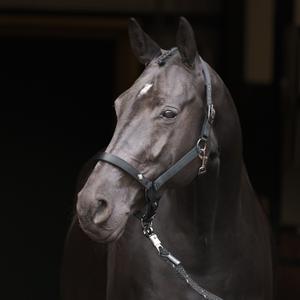 product/i/m/imperial-riding_ha40125002-9000_black_2.jpg