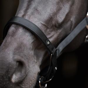 product/i/m/imperial-riding_ha40125002-9000_black_3.jpg