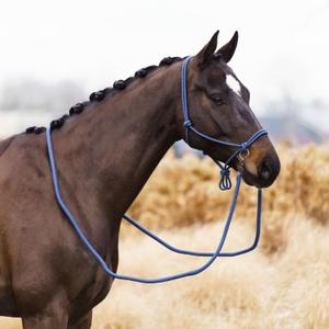product/i/m/imperial-riding_ha40322001-5196_sapphire_2.jpg