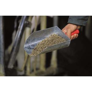 product/k/a/kamer_129010100_argente_2.jpg