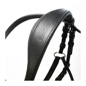 product/k/a/kavalkade_0191091150202_3.jpg