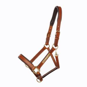 product/k/a/kavalkade_280051152903_0.jpg