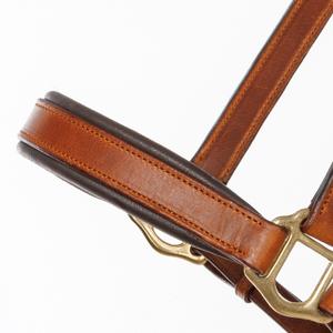 product/k/a/kavalkade_280051152903_3.jpg