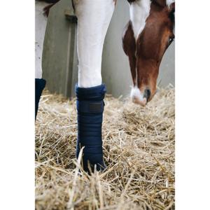 product/k/e/kentucky_42109-03-f_2.jpg