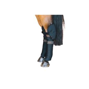 42118-01-f-protege-bandage-de-transport-kentucky-noir-full