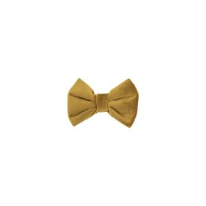 42438-44-noeud-papillon-pour-chien-kentucky-velvet-mustard
