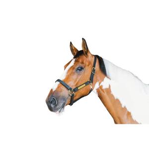 42507-01-cob-licol-pour-cob-en-cuir-kentucky-wellington-noir-cob