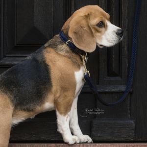product/k/e/kentucky_42517-03-35_bleu-marine_4.jpg