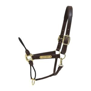 product/k/e/kentucky_42540-05-cob_0.jpg