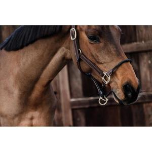 product/k/e/kentucky_42540-05-cob_3.jpg
