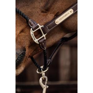 product/k/e/kentucky_42540-05-cob_9.jpg