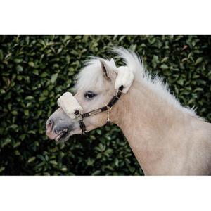 product/k/e/kentucky_42541-05-p_2.jpg