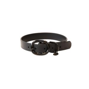 42554-01-collier-pour-chien-caoutchouc-kentucky-noir