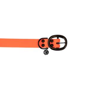 product/k/e/kentucky_42554-45-l_neon-orange_3.jpg