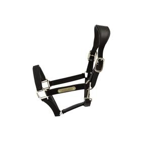42560-01-licol-pour-cheval-anatomique-nylon-kentucky-black