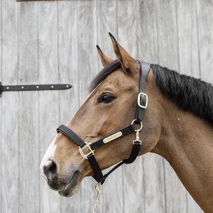 product/k/e/kentucky_42560-01-cob_black_2.jpg
