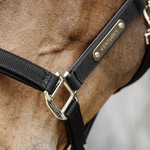 product/k/e/kentucky_42560-01-cob_black_4.jpg