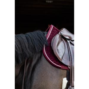 product/k/e/kentucky_42579-17-sj-cob_4.jpg