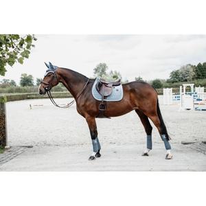 product/k/e/kentucky_42579-61-sj-cob_2.jpg