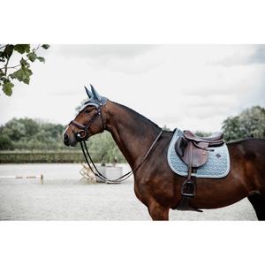 product/k/e/kentucky_42579-61-sj-cob_5.jpg
