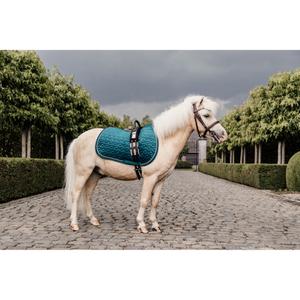 42579-71-sj-cob-tapis-de-selle-pour-cheval-kentucky-emeraude-cob