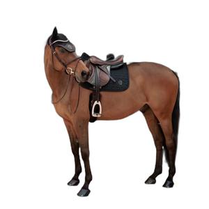 product/k/e/kentucky_42749-01-sj_noir_2.jpg