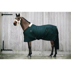 product/k/e/kentucky_52102-73_2.jpg