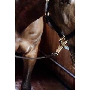 product/k/e/kentucky_82158-01-120_noir_1.jpg