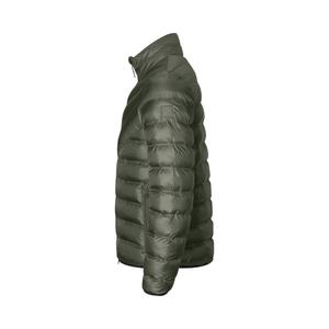 product/k/i/kingsland_2430153851-6576_green-beetle_2.jpg