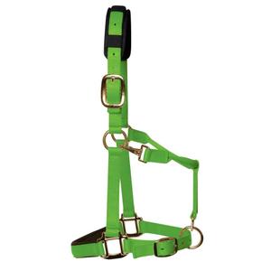product/k/m/km-elite_hhtgc_green_1.jpg