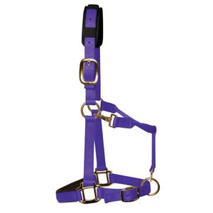 product/k/m/km-elite_hppc_purple_1.jpg