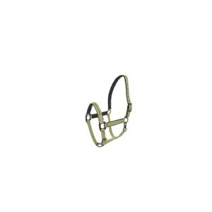 555026008-licol-pour-cheval-lami-cell-charming-vert-clair-full
