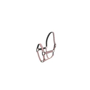 555026016-licol-pour-cheval-lami-cell-charming-vieux-rose-full