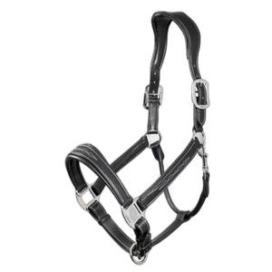 it00882-licol-pour-cheval-cuir-lemieux-stitched-comfort-black