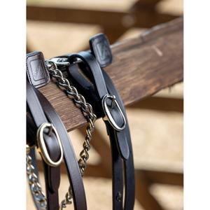 product/l/e/lemieux_it00893_3.jpg
