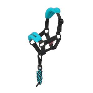 product/l/e/lemieux_it03931.jpg