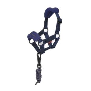 it03933001-licol-pour-poney-lemieux-vogue-ink-blue-tu